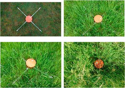 A Method Proposal for Throughfall Measurement in Grassland at Plot Scale in Temperate Climate: ‘Interception Tubes’